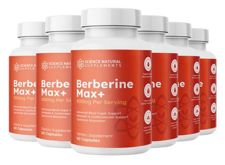 Berberine-Max+ 6 Bottle